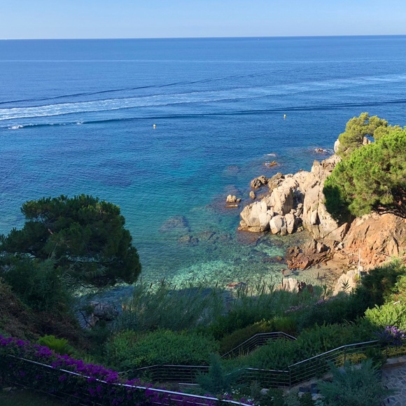 Meet your Posher, Nalia - Picture 3 of 6